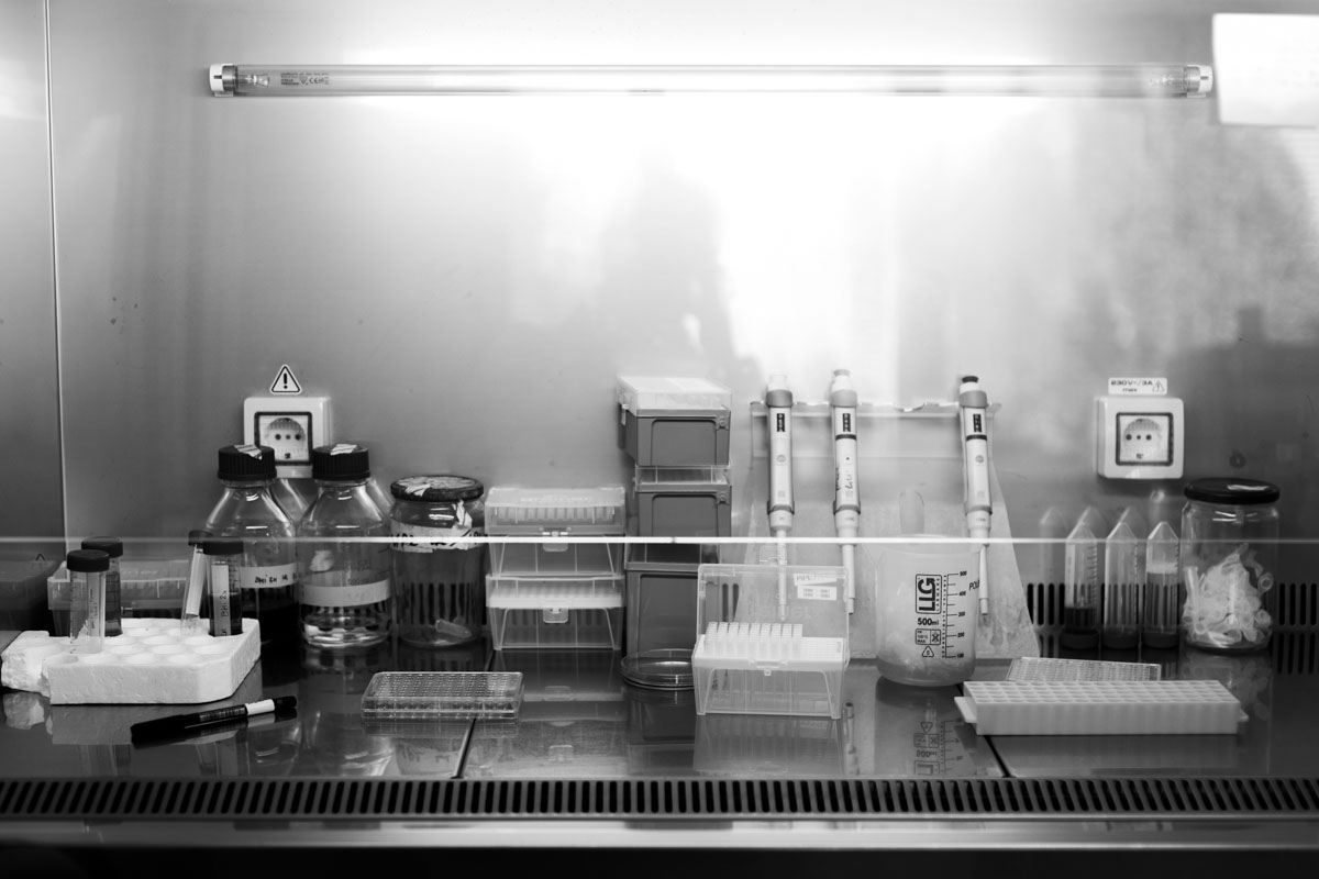 52 femmes entrepreneuses – Mai Huong Chatain-Ly, fondatrice de Vetophage