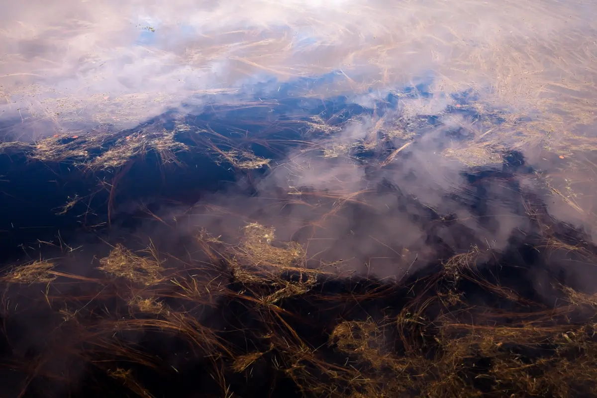 photographe-mariage-lyon-ecoresponsable